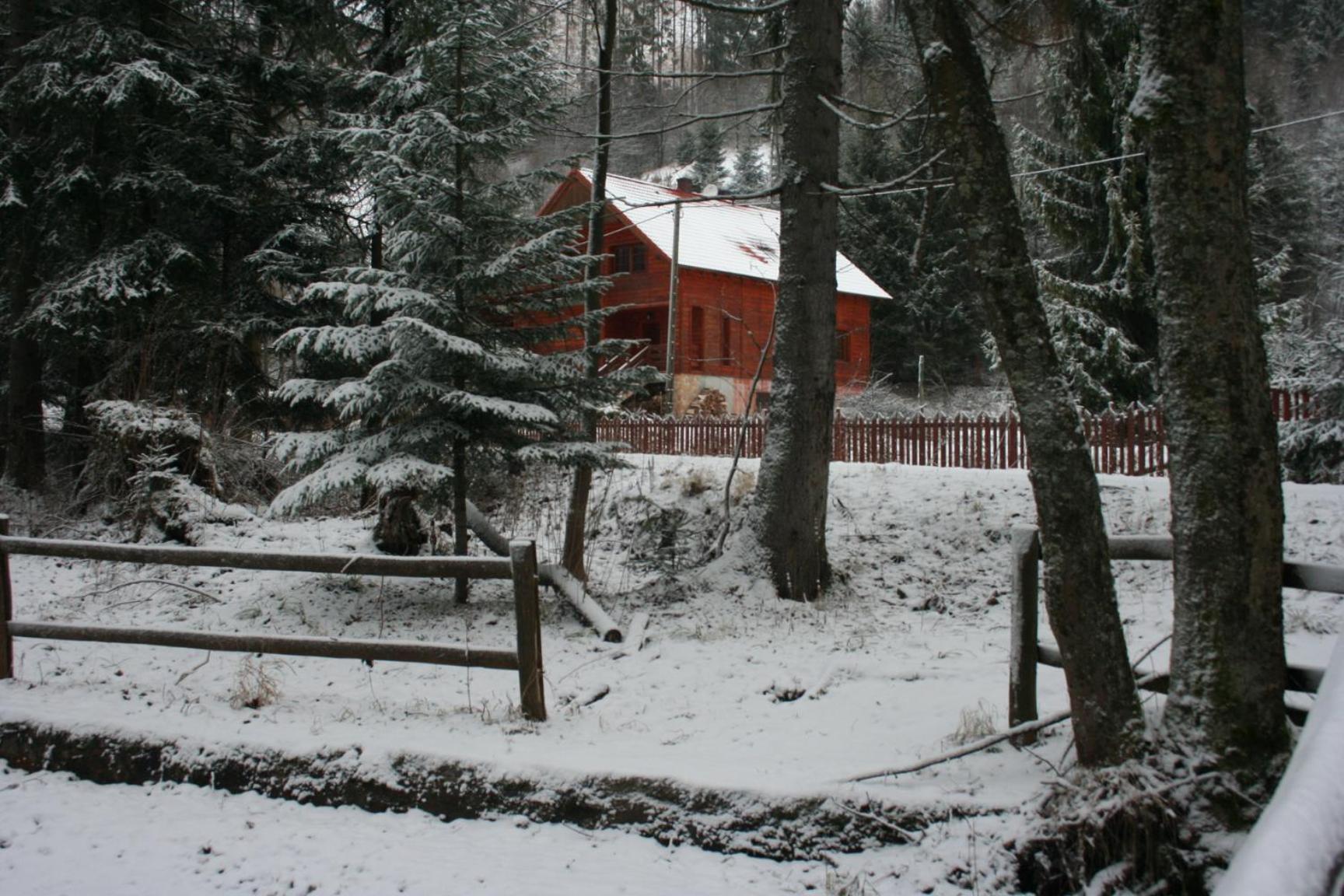 Pensjonat Danielka Otel Ujsoły Dış mekan fotoğraf