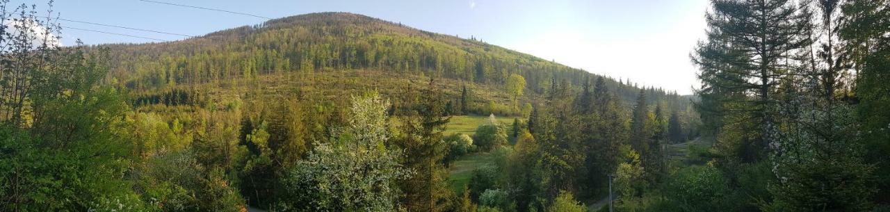 Pensjonat Danielka Otel Ujsoły Dış mekan fotoğraf